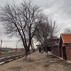 Alexandria Train Station - Alexandria
