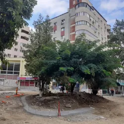 The Old Town Area - Alexandria