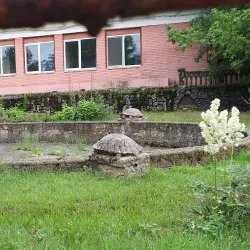 The Old Town Area - Alexandria