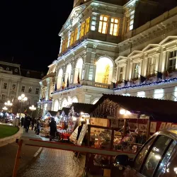 Arad City Hall - Arad