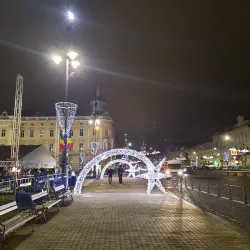 Arad City Hall - Arad