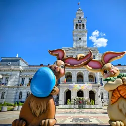 Arad City Hall - Arad