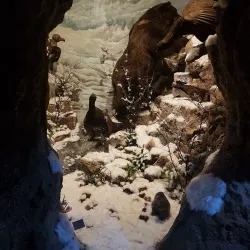 Arad Museum Complex - Arad