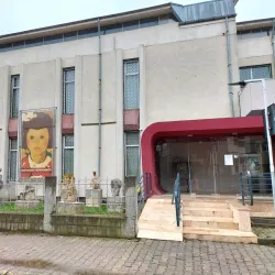 Bacau Art Museum - Bacau