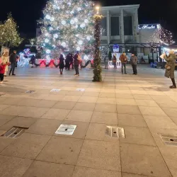 Bacau City Hall - Bacau