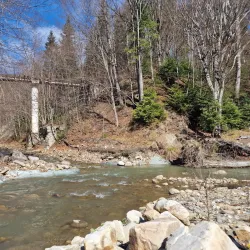 Valea Budului Nature Reserve - Bacau