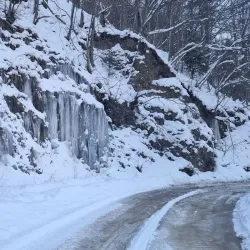 Valea Budului Nature Reserve - Bacau