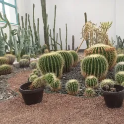 Central Park (Parcul Central) - Baia Mare