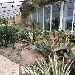 The Botanic Garden of Baia Mare - Baia Mare