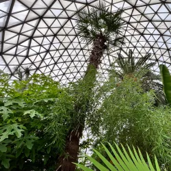 The Botanic Garden of Baia Mare - Baia Mare