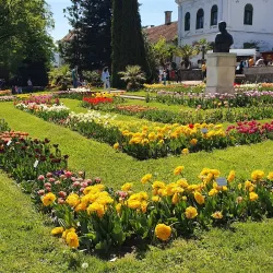 The Botanic Garden of Baia Mare - Baia Mare