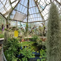 The Botanic Garden of Baia Mare - Baia Mare