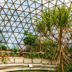 The Botanic Garden of Baia Mare - Baia Mare