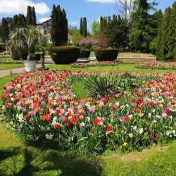 The Botanic Garden of Baia Mare - Baia Mare