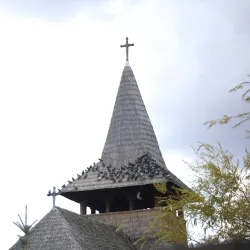 The Catholic Cathedral of Baia Mare - Baia Mare