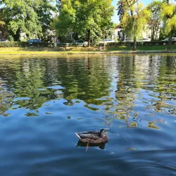 Central Park (Parcul Central) - Barlad