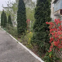 Saint Nicholas Church - Barlad