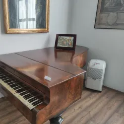 The Art Gallery of Bârlad - Barlad