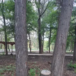 The Bârlad River Promenade - Barlad