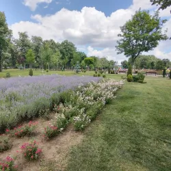 The Ethnographic Park - Barlad