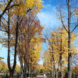 The Ethnographic Park - Barlad