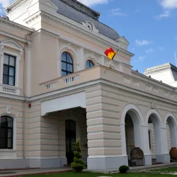 The Old Town Hall - Barlad
