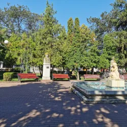 The Old Town Hall - Barlad