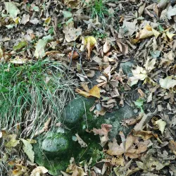 Bistrita Fortress - Bistrita