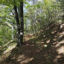 Bistrita Fortress - Bistrita