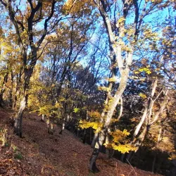 Bistrita Fortress - Bistrita