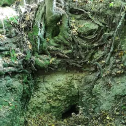 Bistrita Fortress - Bistrita