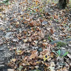 Bistrita Fortress - Bistrita