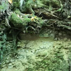 Bistrita Fortress - Bistrita