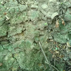 Bistrita Fortress - Bistrita