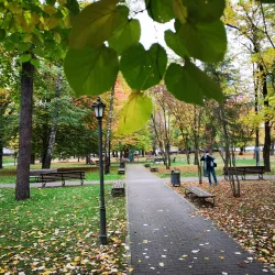 Central Park (Parcul Central) - Bistrita