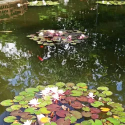 Central Park (Parcul Central) - Bistrita