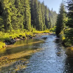 Rodna Mountains National Park - Bistrita