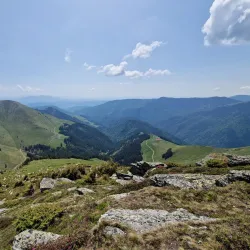 Rodna Mountains National Park - Bistrita