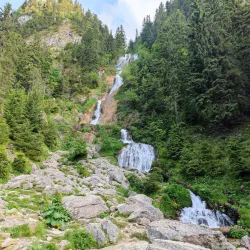 Rodna Mountains National Park - Bistrita