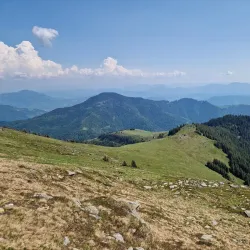 Rodna Mountains National Park - Bistrita