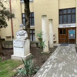 The Transylvanian Museum - Bistrita