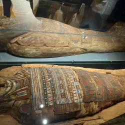 The Transylvanian Museum - Bistrita