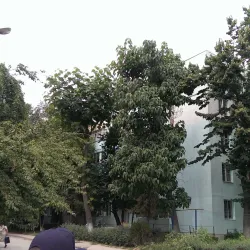 Bolintin-Vale Town Park - Bolintin-Vale