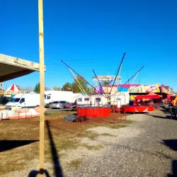 Danube River (nearby) - Bolintin-Vale