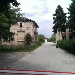 Danube River (nearby) - Bolintin-Vale