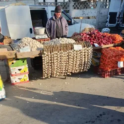 Local Traditional Festivals - Bolintin-Vale