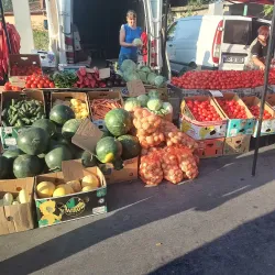 Local Traditional Festivals - Bolintin-Vale