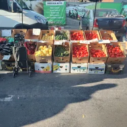 Local Traditional Festivals - Bolintin-Vale