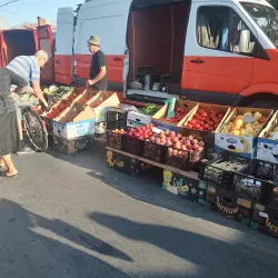 Local Traditional Festivals - Bolintin-Vale