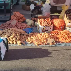 Local Traditional Festivals - Bolintin-Vale